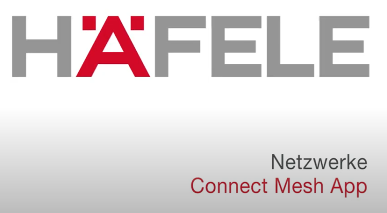 Haefele_Netzwerke(1).png